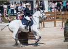 Pferd International 161